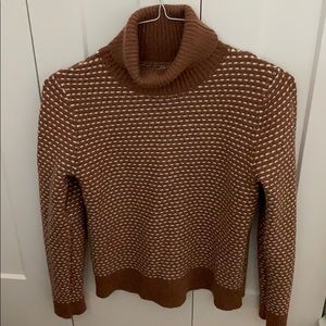 Tan Turtleneck JCrew Sweater